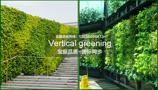 墙体垂直绿化花盆怎么选择才比较好看